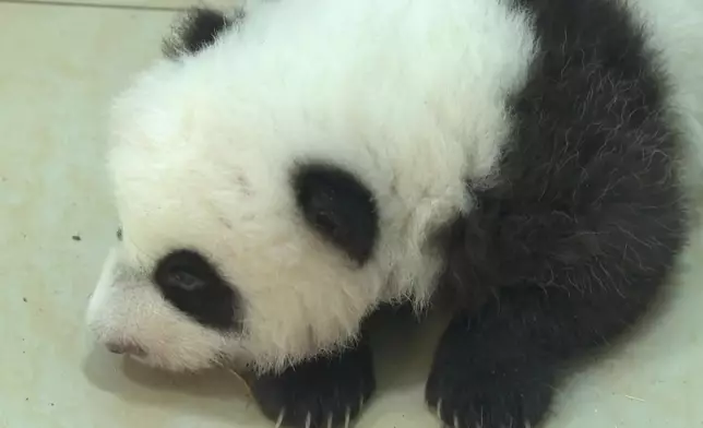 影片截圖 CGTN圖片