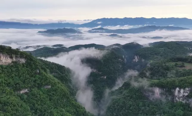影片截圖 CGTN圖片