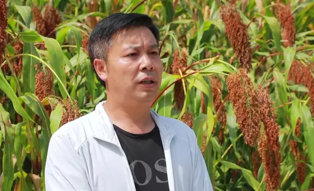 影片截圖 CGTN圖片