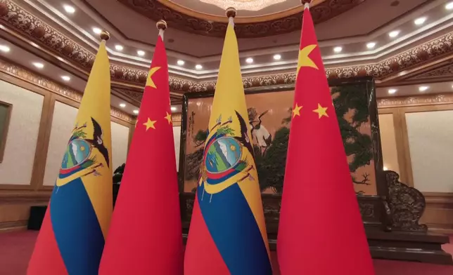 影片截圖 CGTN圖片