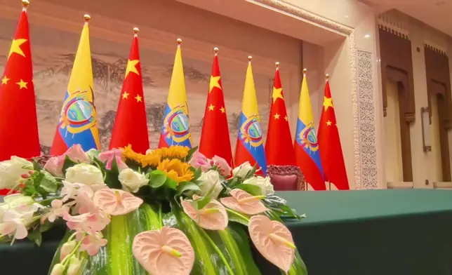 影片截圖 CGTN圖片