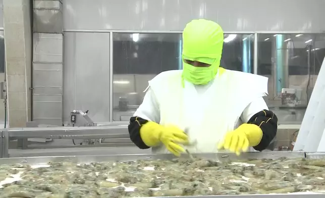 影片截圖 CGTN圖片