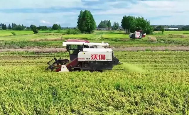 影片截圖 CGTN圖片