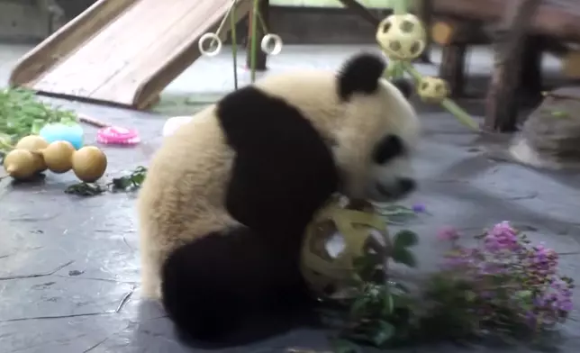 影片截圖 CGTN圖片