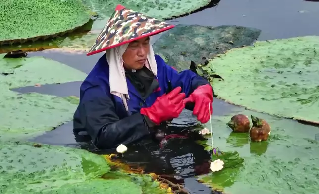 影片截圖 CGTN圖片