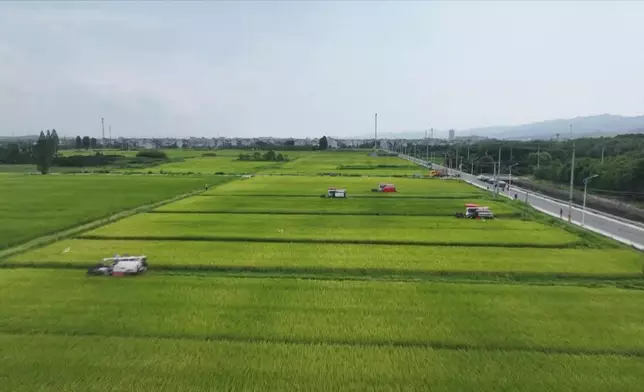 影片截圖 CGTN圖片