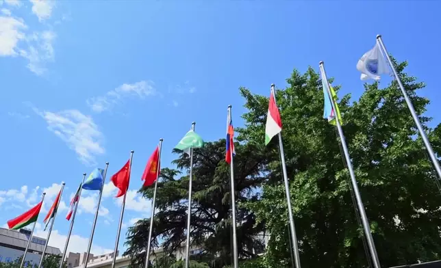 影片截圖 CGTN圖片