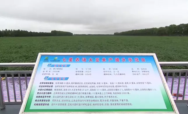 影片截圖 CGTN圖片