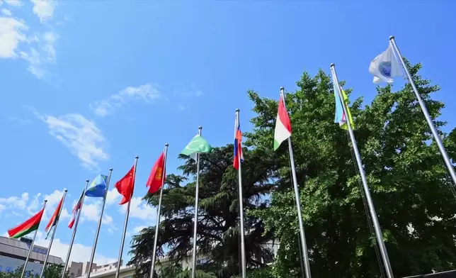 影片截圖 CGTN圖片