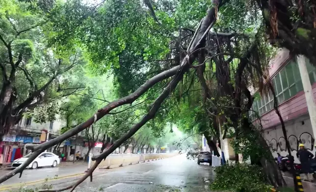 影片截圖 CGTN圖片