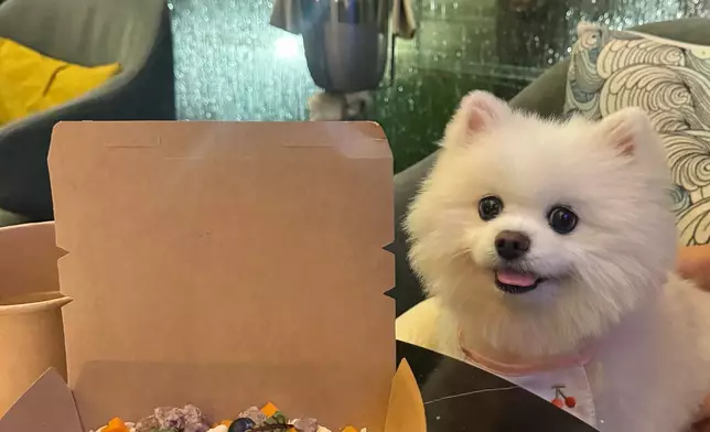 濱口愛子IG圖片