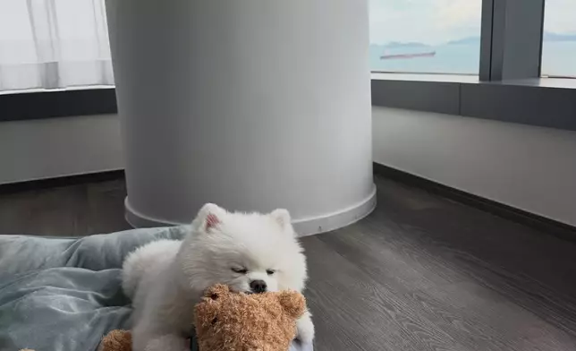 濱口愛子IG圖片