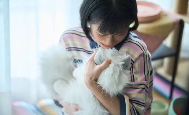 MV劇照