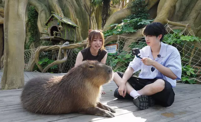 住客可餵飼園內動物。