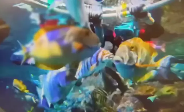 影片截圖