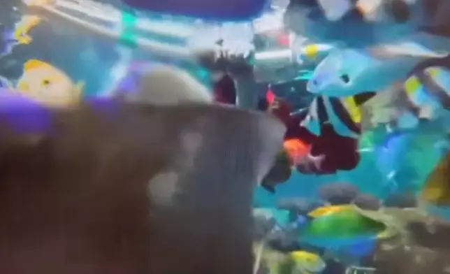 影片截圖