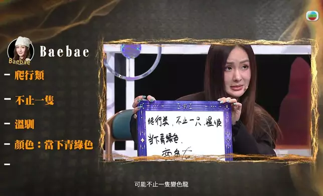 Baebae一講唔只一隻時，評判加晴直頭係呆咗。