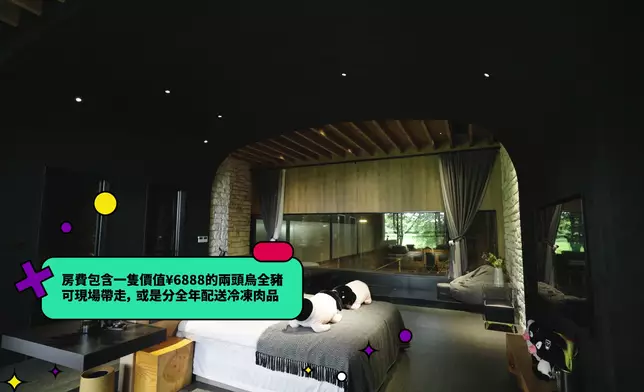 8,888人民幣住宿套餐，送成年兩頭烏一隻。