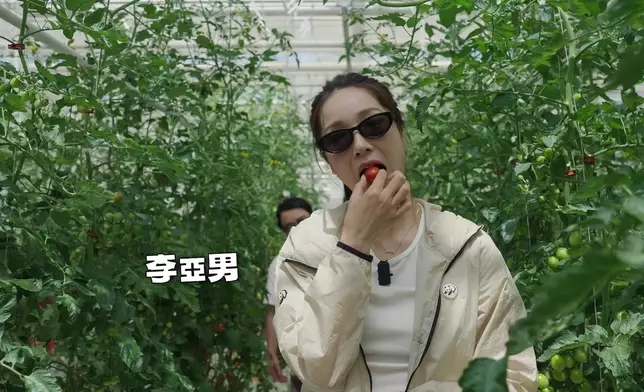 好多華姐同港姐呀。