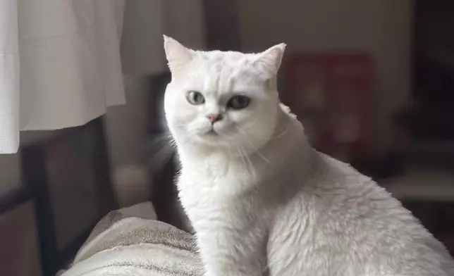 葉蒨文IG圖片