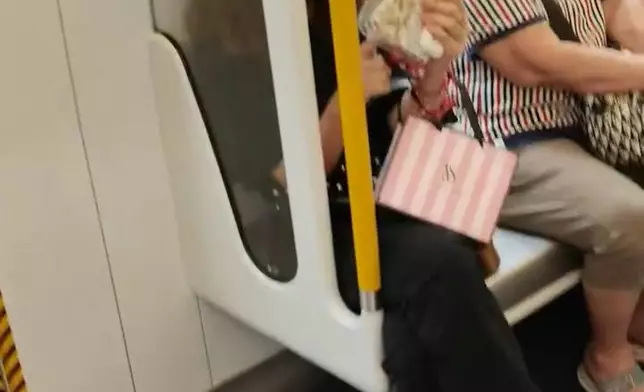 網上近日流傳一段影片，一名女子懷疑在港鐵車廂內吸食電子煙。網上圖片