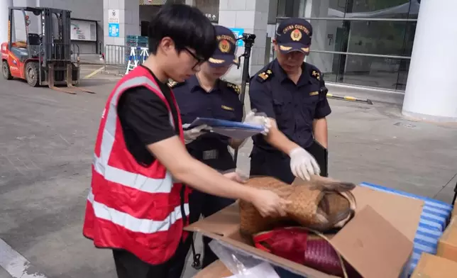 影片截圖 CGTN圖片