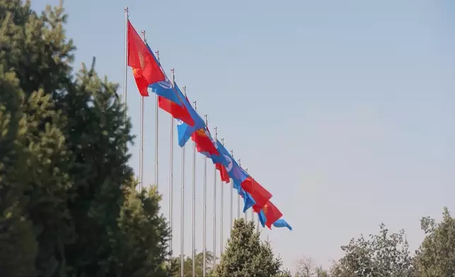 影片截圖 CGTN圖片