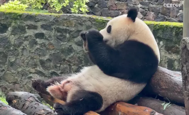 影片截圖 CGTN圖片