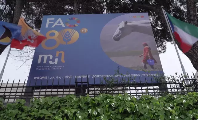 影片截圖 CGTN圖片