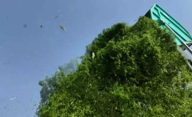 影片截圖 CGTN圖片