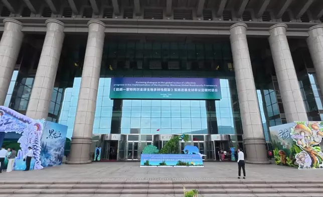 影片截圖 CGTN圖片