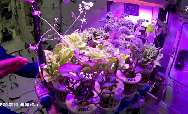 影片截圖 CGTN圖片