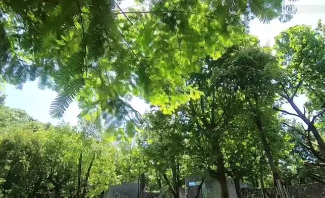 影片截圖 CGTN圖片