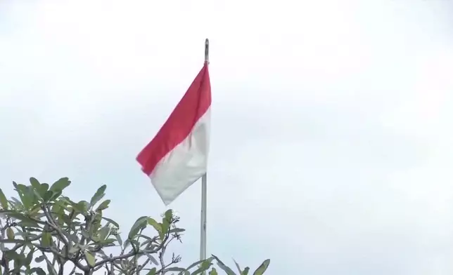 影片截圖 CGTN圖片