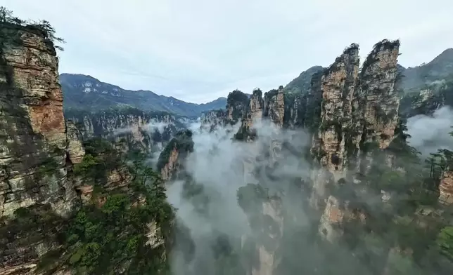 影片截圖 CGTN圖片
