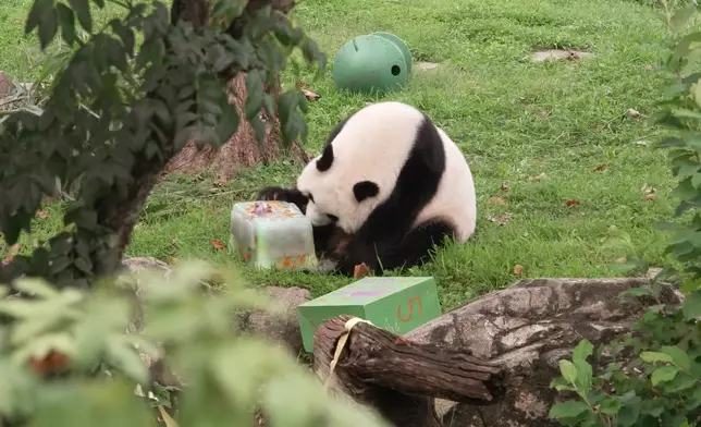 影片截圖 CGTN圖片