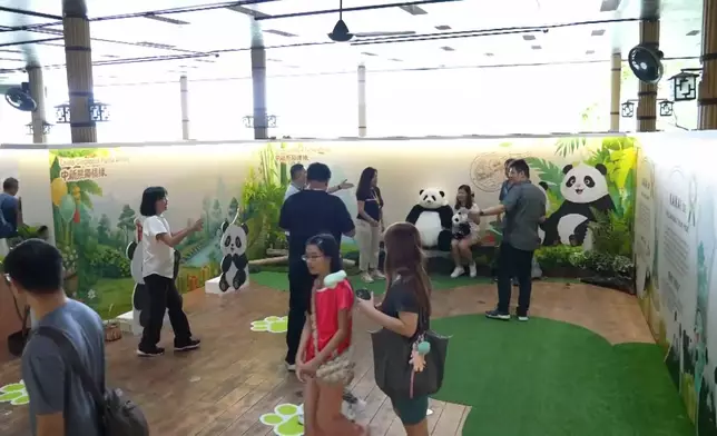 影片截圖 CGTN圖片