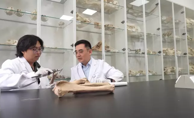 影片截圖 CGTN圖片