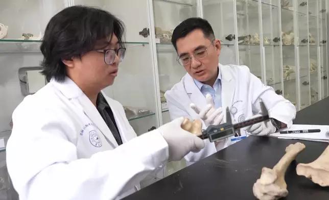 影片截圖 CGTN圖片