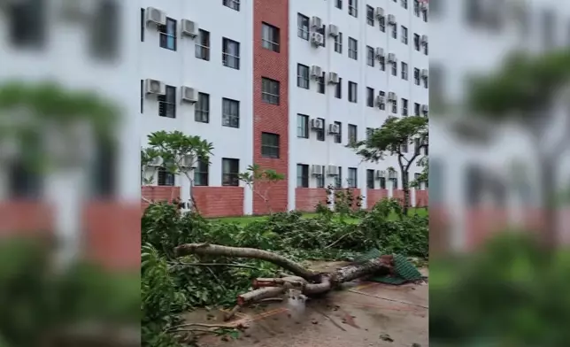 影片截圖 CGTN圖片