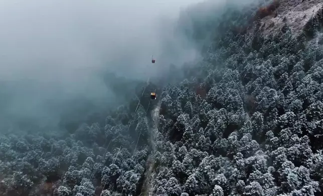 影片截圖 CGTN圖片