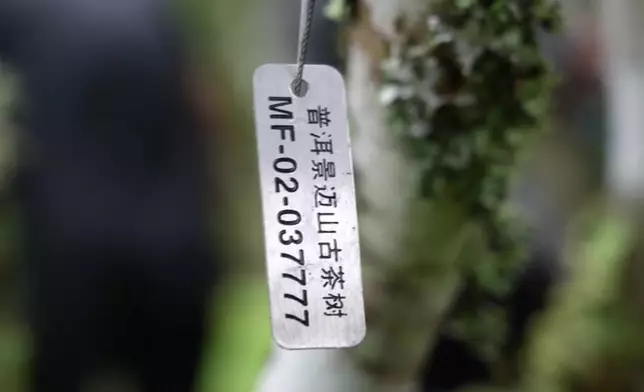 影片截圖 CGTN圖片