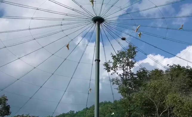 影片截圖 CGTN圖片