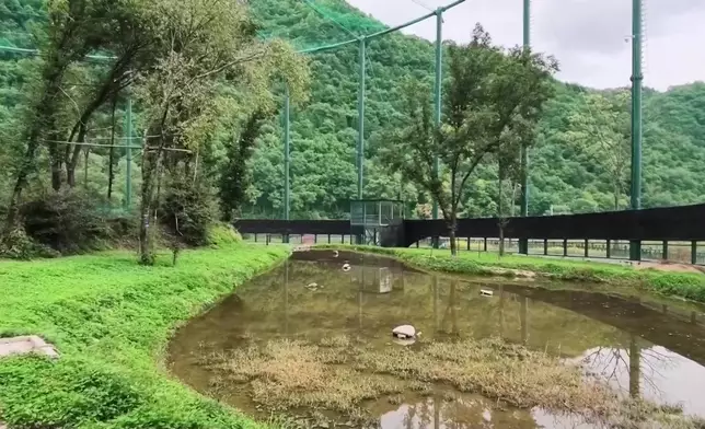 影片截圖 CGTN圖片