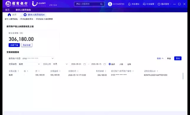 影片截圖 CGTN圖片