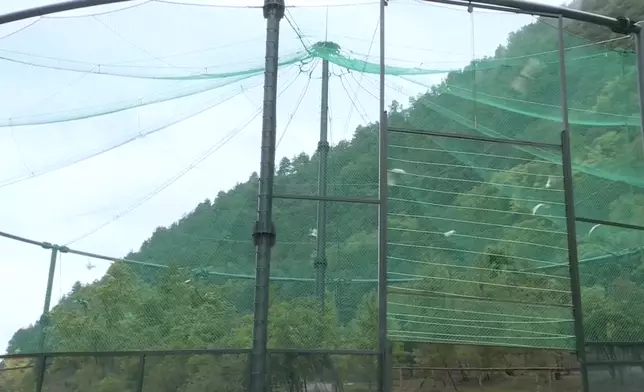 影片截圖 CGTN圖片