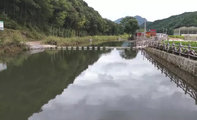 影片截圖 CGTN圖片