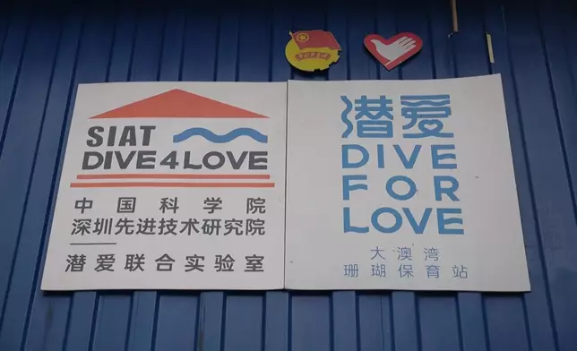 影片截圖 CGTN圖片