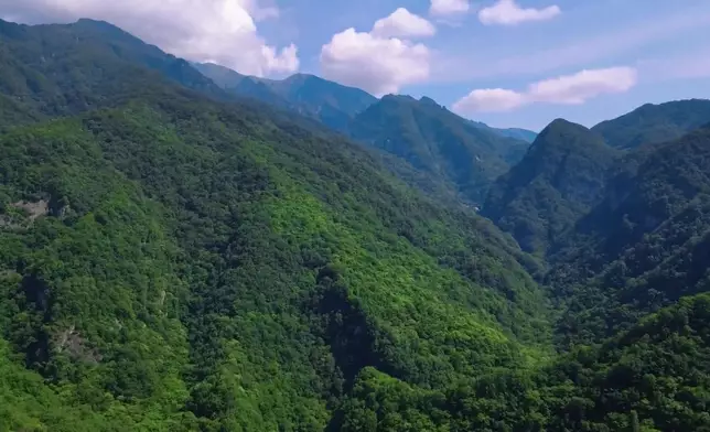 影片截圖 CGTN圖片