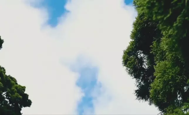 影片截圖 CGTN圖片